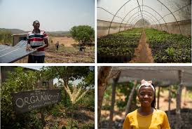 How Climate Change is Driving the Need for Remote Education Solutions