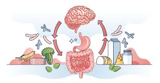 The Connection Between Gut Health and Mental Health: A Comprehensive Guide