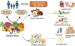 The Role of Fiber in a Healthy Diet